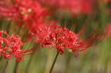 桃花潭在哪里(【桃花潭在哪里】神秘的桃花潭竟隐藏在这个国家公园中)